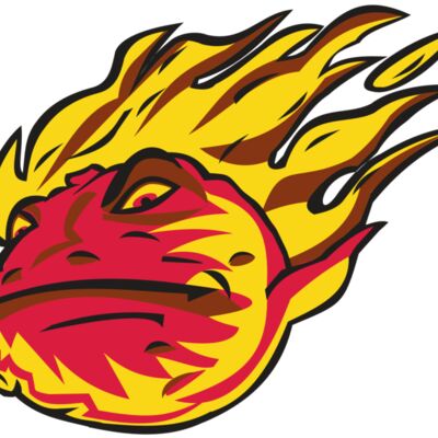 COMET HD0501 RQC Thumbnail