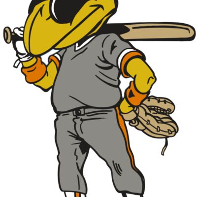 AR5 BEE 17 RQC Thumbnail