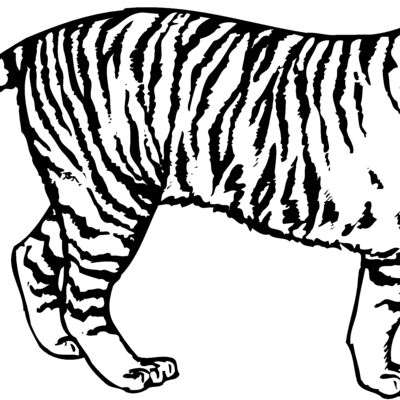TIGER003 Thumbnail