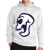 Sport Wick ® Fleece Hooded Pullover Thumbnail