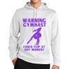Sport Wick ® Fleece Hooded Pullover Thumbnail